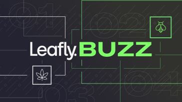 leafly-buzz:-12-most-lit-cannabis-strains-of-february-2022
