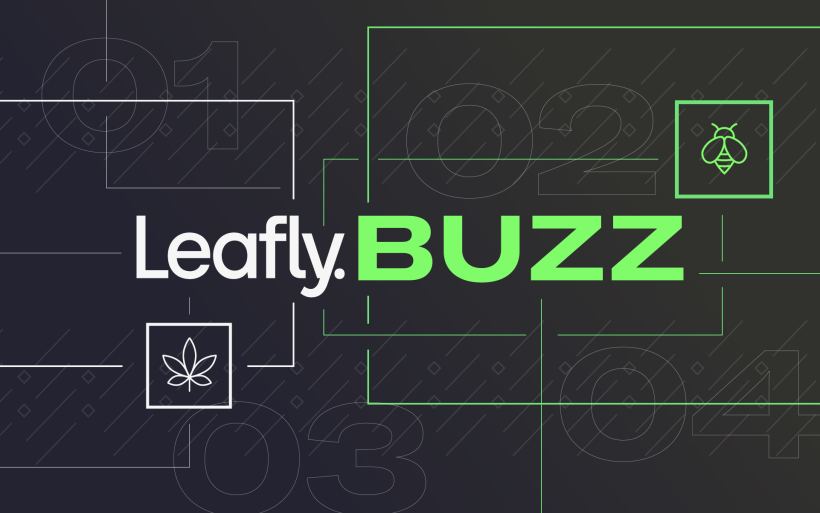 leafly-buzz:-12-most-lit-cannabis-strains-of-february-2022