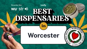 best-rated-dispensaries-in-worcester-2022