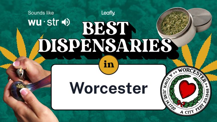 best-rated-dispensaries-in-worcester-2022