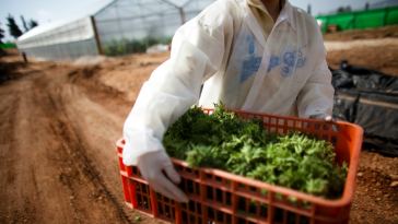 how-to-start-a-marijuana-delivery-service-in-new-york