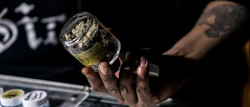 we-asked-budtenders:-what’s-the-best-cannabis-in-canada?