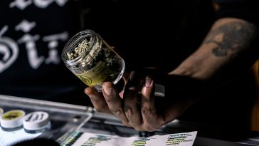 we-asked-budtenders:-what’s-the-best-cannabis-in-canada?