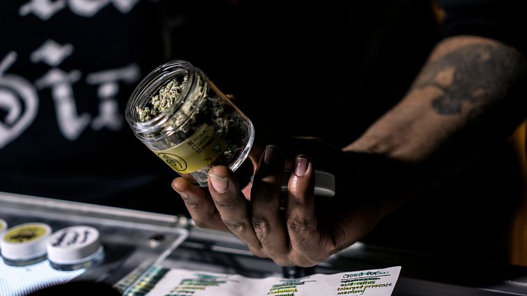we-asked-budtenders:-what’s-the-best-cannabis-in-canada?
