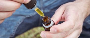 cbd oil