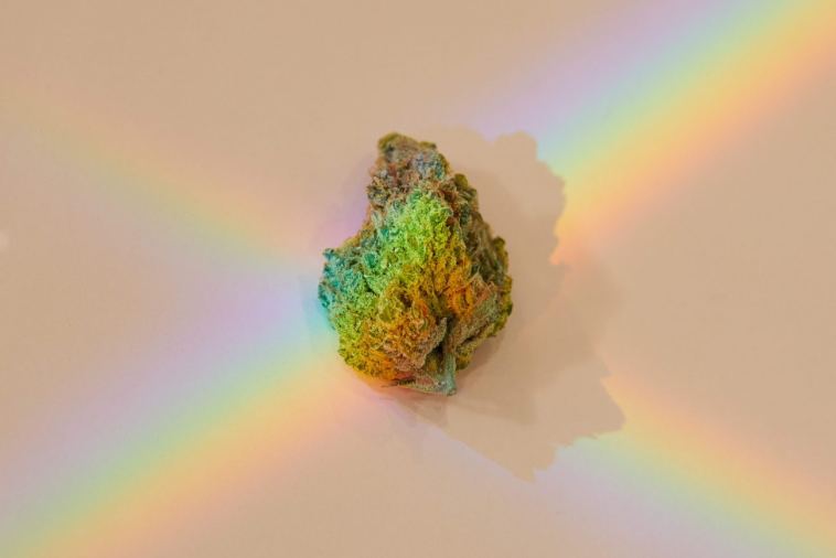 the-strains-that-made-420