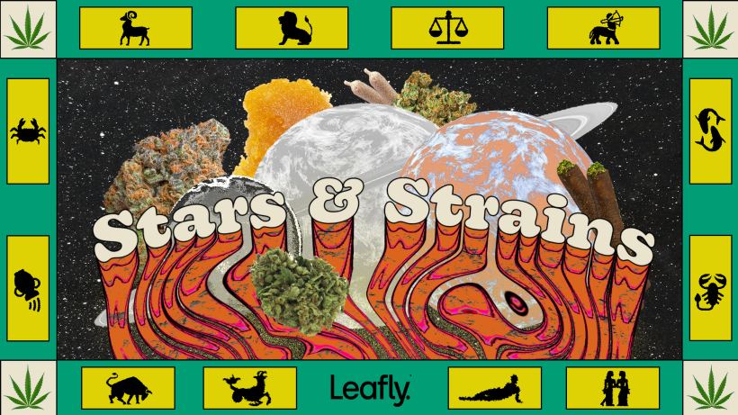 star-signs-and-cannabis-strains:-may-2022-horoscopes