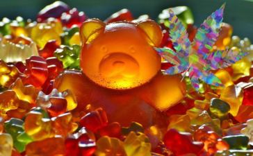 cbd gummies