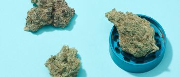 the-drop:-5-strains-coming-to-dispensaries-in-may-2022