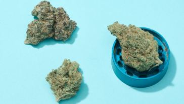 the-drop:-5-strains-coming-to-dispensaries-in-may-2022