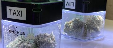 go-inside-nyc’s-secret-weed-shops:-fire-strains-and-hidden-lounges