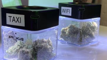 go-inside-nyc’s-secret-weed-shops:-fire-strains-and-hidden-lounges