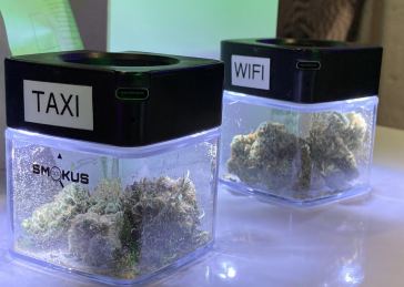 go-inside-nyc’s-secret-weed-shops:-fire-strains-and-hidden-lounges