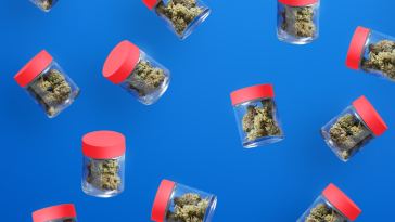 where-did-runtz-strains-come-from?