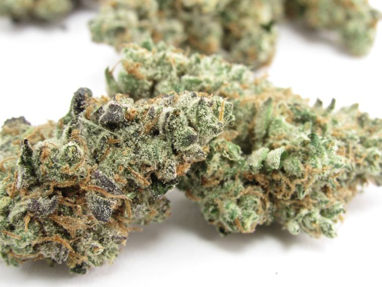 leafly-buzz:-13-top-weed-strains-of-may-2022