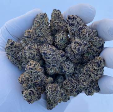 the-drop:-hall-of-flowers-special-edition