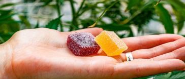 delta 9 gummies