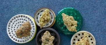 the-drop:-6-strains-coming-to-dispensaries-in-june-2022