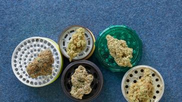 the-drop:-6-strains-coming-to-dispensaries-in-june-2022