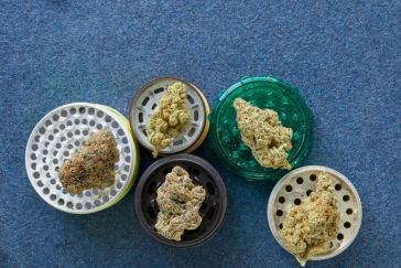 the-drop:-6-strains-coming-to-dispensaries-in-june-2022