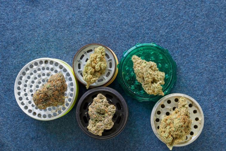 the-drop:-6-strains-coming-to-dispensaries-in-june-2022