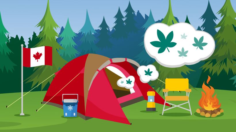 camping-with-weed?-4-things-you-need-to-know