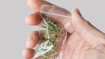 cannabis tips for first-time users