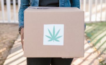 cannabis delivery