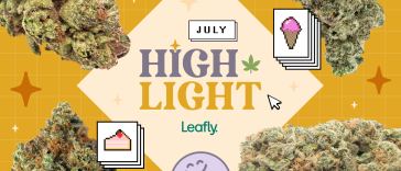stay-chill-with-ice-cream-cake—july’s-leafly-highlight