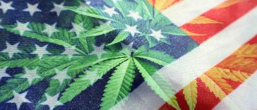 when-did-your-state-legalize-marijuana?