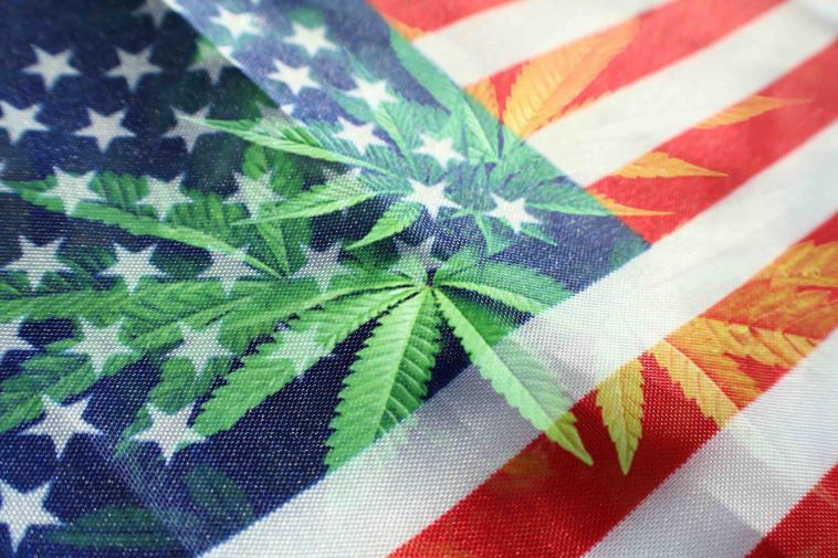 when-did-your-state-legalize-marijuana?