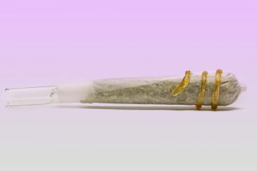 weedmaps’-guide-to-infused-pre-rolls-in-california
