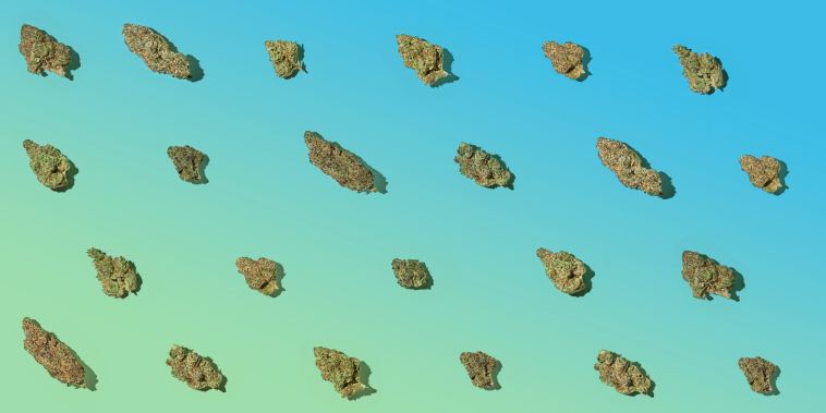 the-strains-that-made-blueprint-cannabis