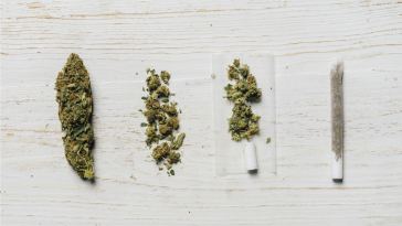 here’s-why-florida’s-new-adult-use-initiative-is-getting-mixed-reviews