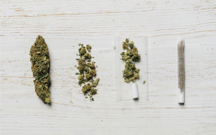 here’s-why-florida’s-new-adult-use-initiative-is-getting-mixed-reviews