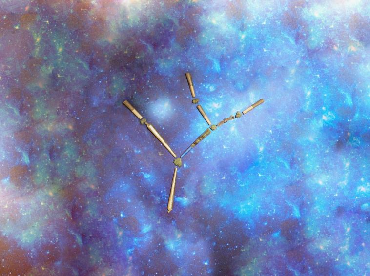 the-6-best-strains-for-virgo-season