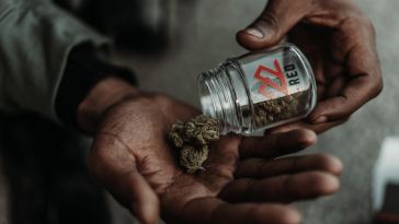 the-drop:-7-new-strains-coming-to-dispensaries-in-august-2022