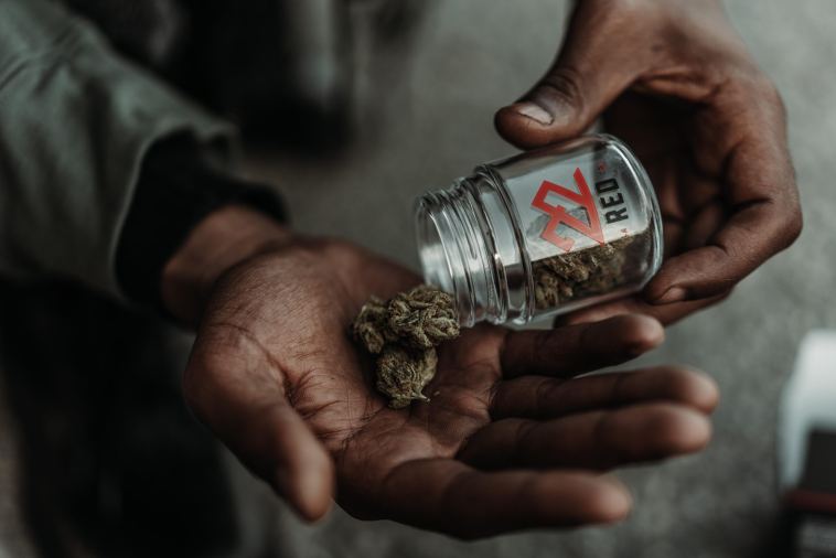 the-drop:-7-new-strains-coming-to-dispensaries-in-august-2022