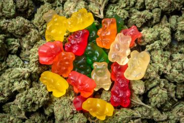 thc edibles