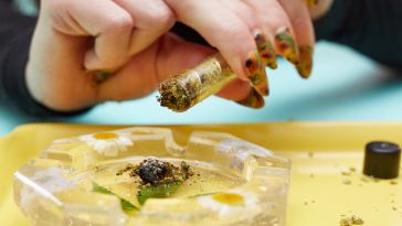 which-glass-blunts-are-the-best?-8-glass-blunts-worth-checking-out