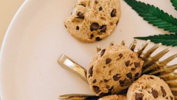 cbd edibles cookies