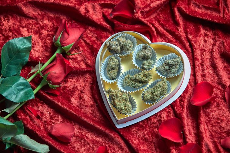 6-chocolate-weed-strains-worth-trying-this-valentine’s-day