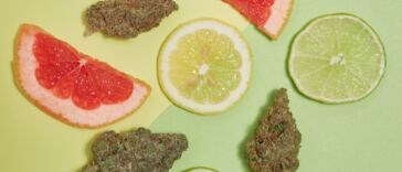 the-8-best-diesel-strains