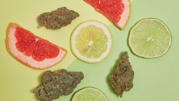 the-8-best-diesel-strains