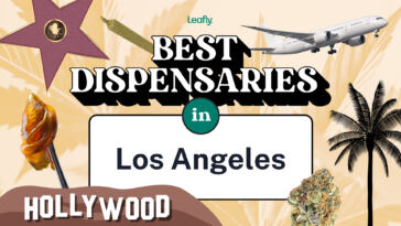the-best-rated-weed-dispensaries-in-los-angeles-2022