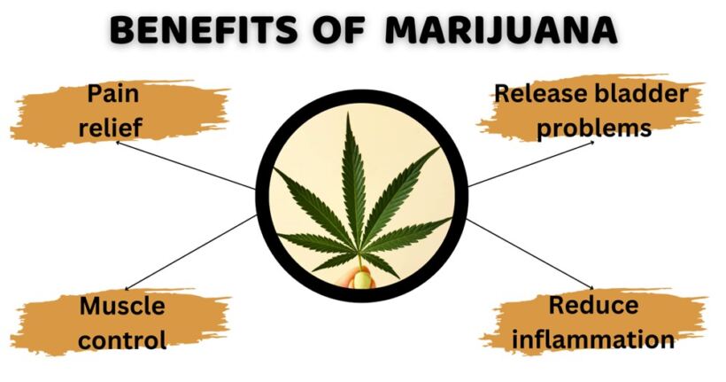 benefits of marijuana
