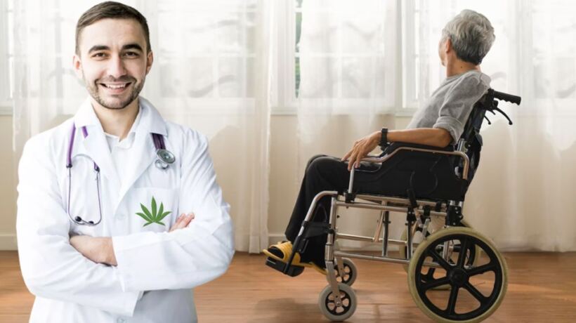 cannabis for ms