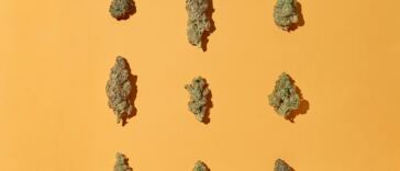 8-delicious-peanut-butter-weed-strains