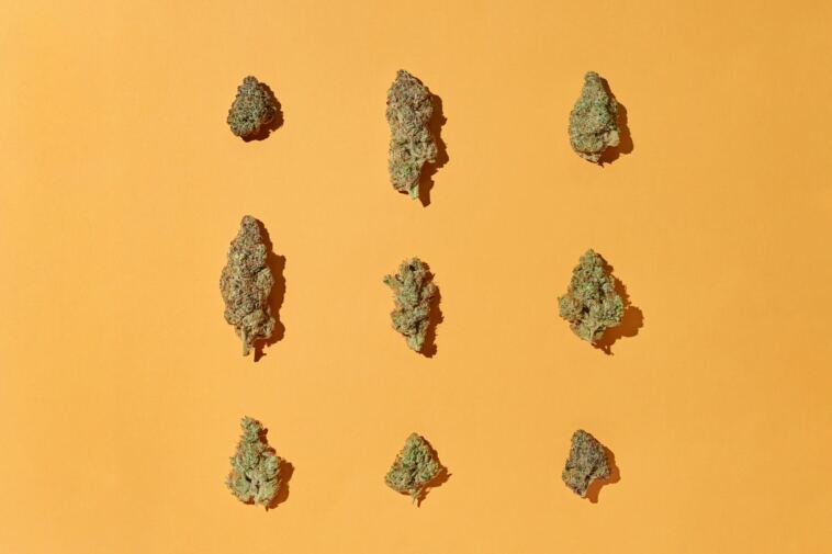 8-delicious-peanut-butter-weed-strains