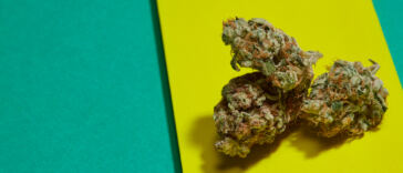 the-8-best-mint-strains